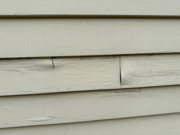 Trusted Douglas, WY Siding Installation Experts